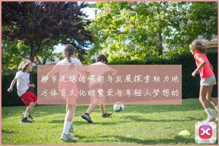柳市足球的崛起与发展探索助力地方体育文化的繁荣与年轻人梦想的实现